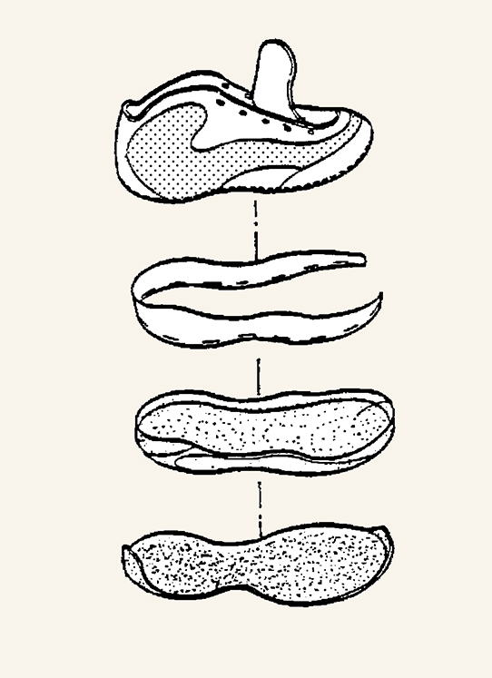 Sports Shoe Technology